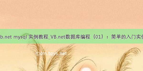 vb.net mysql 实例教程_VB.net数据库编程（01）：简单的入门实例