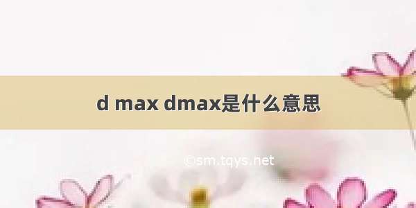 d max dmax是什么意思