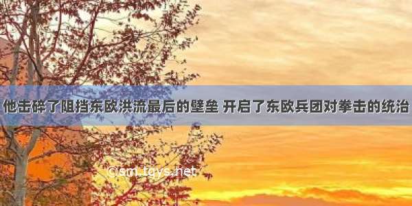 他击碎了阻挡东欧洪流最后的壁垒 开启了东欧兵团对拳击的统治