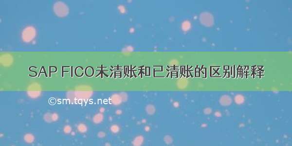 SAP FICO未清账和已清账的区别解释