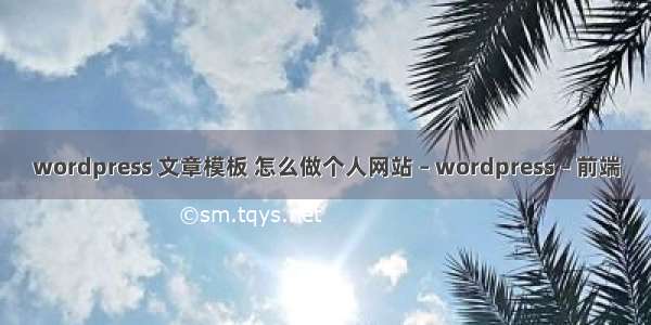 wordpress 文章模板 怎么做个人网站 – wordpress – 前端