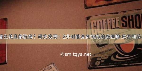 蒲公英真能抗癌？研究发现：2小时能杀死98%的癌细胞 是否可信？