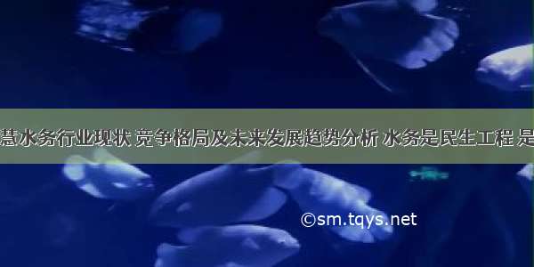 中国智慧水务行业现状 竞争格局及未来发展趋势分析 水务是民生工程 是智慧城