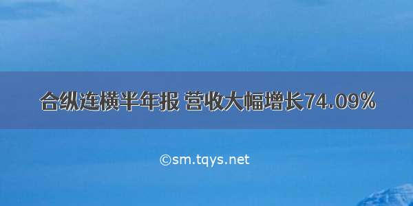 合纵连横半年报 营收大幅增长74.09%