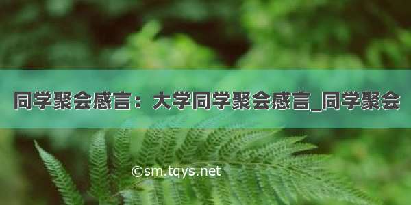 同学聚会感言：大学同学聚会感言_同学聚会