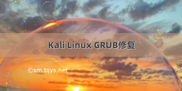 Kali Linux GRUB修复