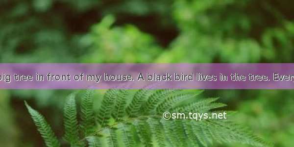 There is a big tree in front of my house. A black bird lives in the tree. Every day I take
