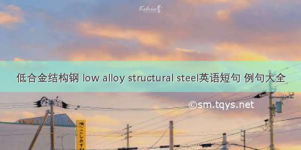 低合金结构钢 low alloy structural steel英语短句 例句大全