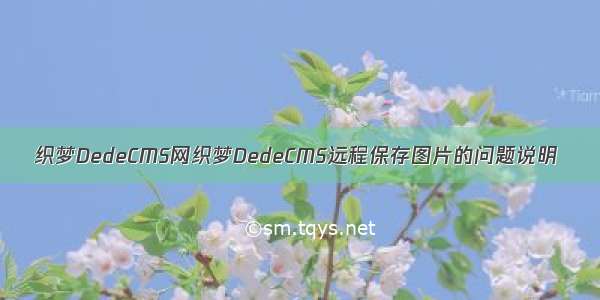 织梦DedeCMS网织梦DedeCMS远程保存图片的问题说明