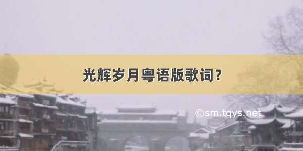 光辉岁月粤语版歌词？