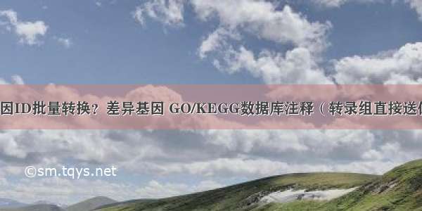 拟南芥的基因ID批量转换？差异基因 GO/KEGG数据库注释（转录组直接送你全套流程）