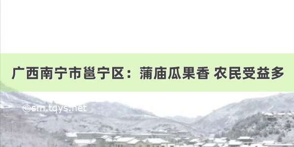 广西南宁市邕宁区：蒲庙瓜果香 农民受益多