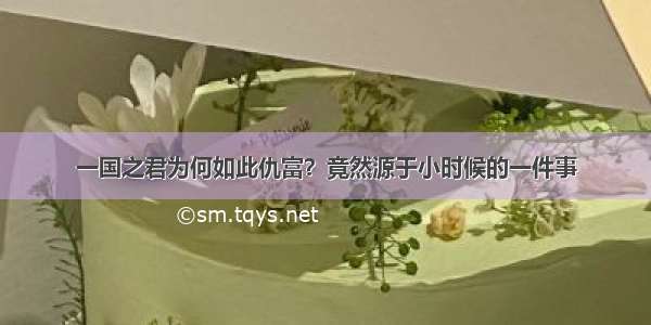 一国之君为何如此仇富？竟然源于小时候的一件事