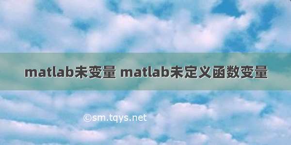 matlab未变量 matlab未定义函数变量