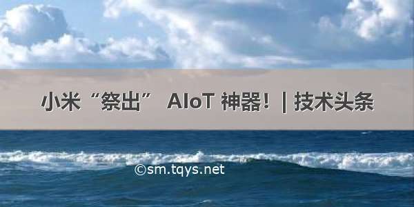 小米“祭出” AIoT 神器！| 技术头条