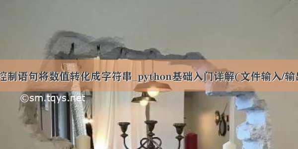 python循环控制语句将数值转化成字符串_python基础入门详解(文件输入/输出内建类型字