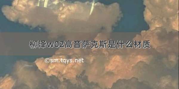 柳泽w02高音萨克斯是什么材质