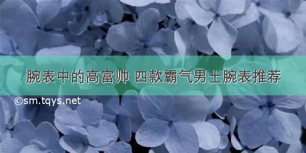 腕表中的高富帅 四款霸气男士腕表推荐