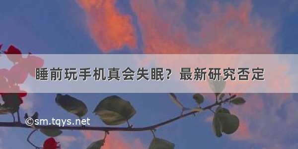 睡前玩手机真会失眠？最新研究否定