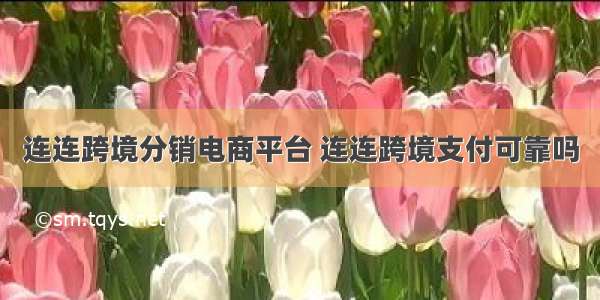 连连跨境分销电商平台 连连跨境支付可靠吗