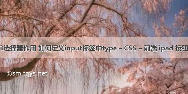 css3选择器作用 如何定义input标签中type – CSS – 前端 ipad 按钮 css