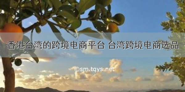 香港台湾的跨境电商平台 台湾跨境电商选品