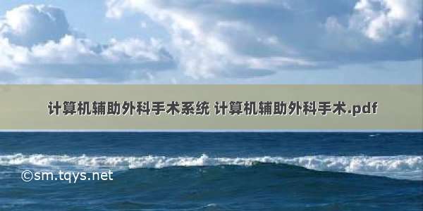 计算机辅助外科手术系统 计算机辅助外科手术.pdf