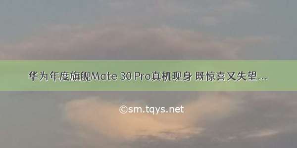 华为年度旗舰Mate 30 Pro真机现身 既惊喜又失望...