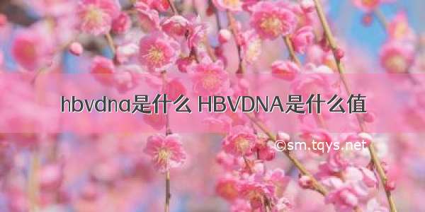 hbvdna是什么 HBVDNA是什么值