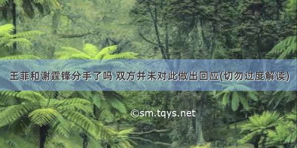 王菲和谢霆锋分手了吗 双方并未对此做出回应(切勿过度解读)