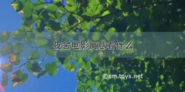 夜舍电影寓意着什么