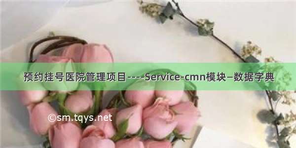 预约挂号医院管理项目----Service-cmn模块—数据字典