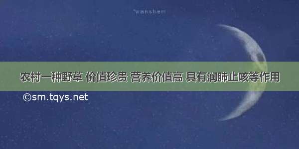 农村一种野草 价值珍贵 营养价值高 具有润肺止咳等作用