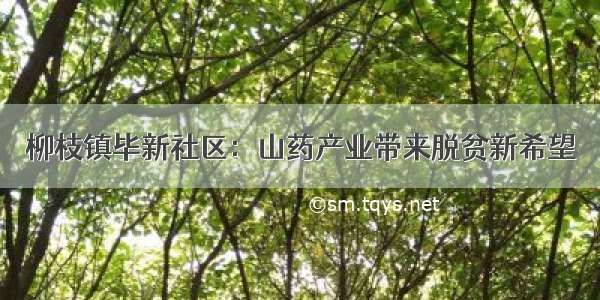 柳枝镇毕新社区：山药产业带来脱贫新希望