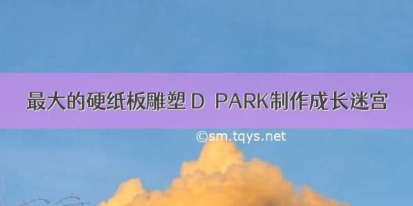 最大的硬纸板雕塑 D．PARK制作成长迷宫