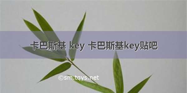 卡巴斯基 key 卡巴斯基key贴吧