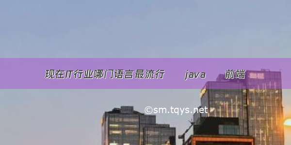 现在IT行业哪门语言最流行 – java – 前端