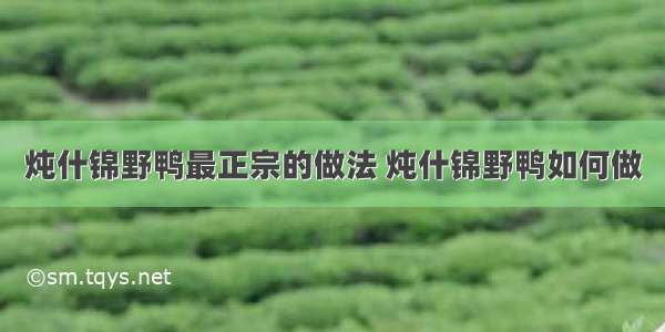 炖什锦野鸭最正宗的做法 炖什锦野鸭如何做