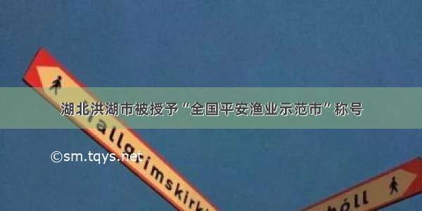 湖北洪湖市被授予“全国平安渔业示范市”称号