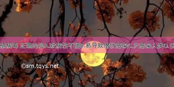 关于单纯疱疹病毒 正确的是A.致病性不强B.易导致潜伏感染C.只感染人类D.引起带状疱疹