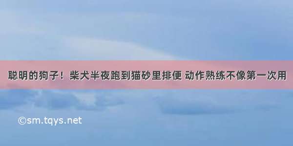 聪明的狗子！柴犬半夜跑到猫砂里排便 动作熟练不像第一次用