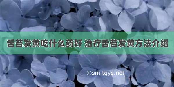 舌苔发黄吃什么药好 治疗舌苔发黄方法介绍