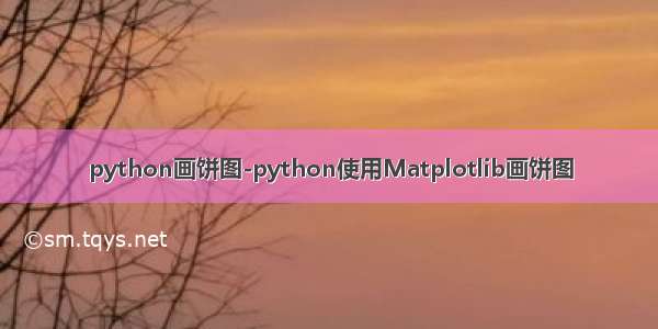 python画饼图-python使用Matplotlib画饼图