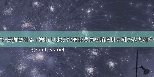 台式计算机识别不了鼠标 USB无线鼠标失灵电脑检测不到无法识别怎么办