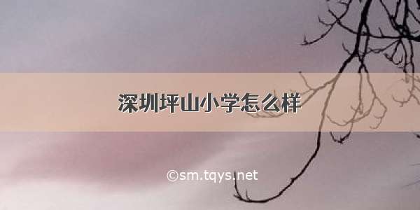 深圳坪山小学怎么样