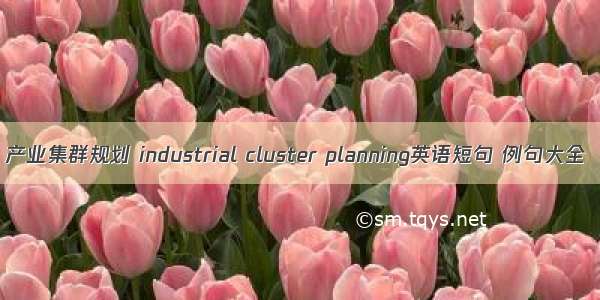 产业集群规划 industrial cluster planning英语短句 例句大全