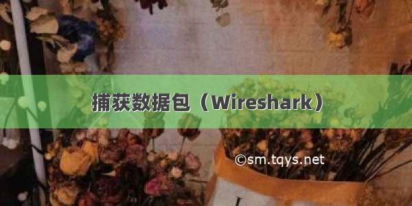 捕获数据包（Wireshark）