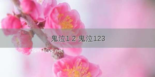 鬼泣1 2 鬼泣123