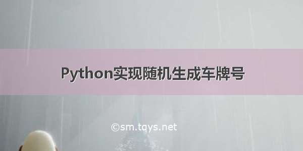 Python实现随机生成车牌号