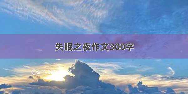 失眠之夜作文300字